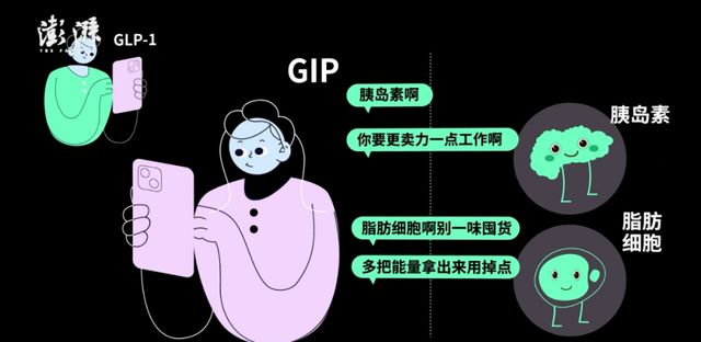 把一家公司推上万亿美元市值开元棋牌“减肥神药”是如何(图3)